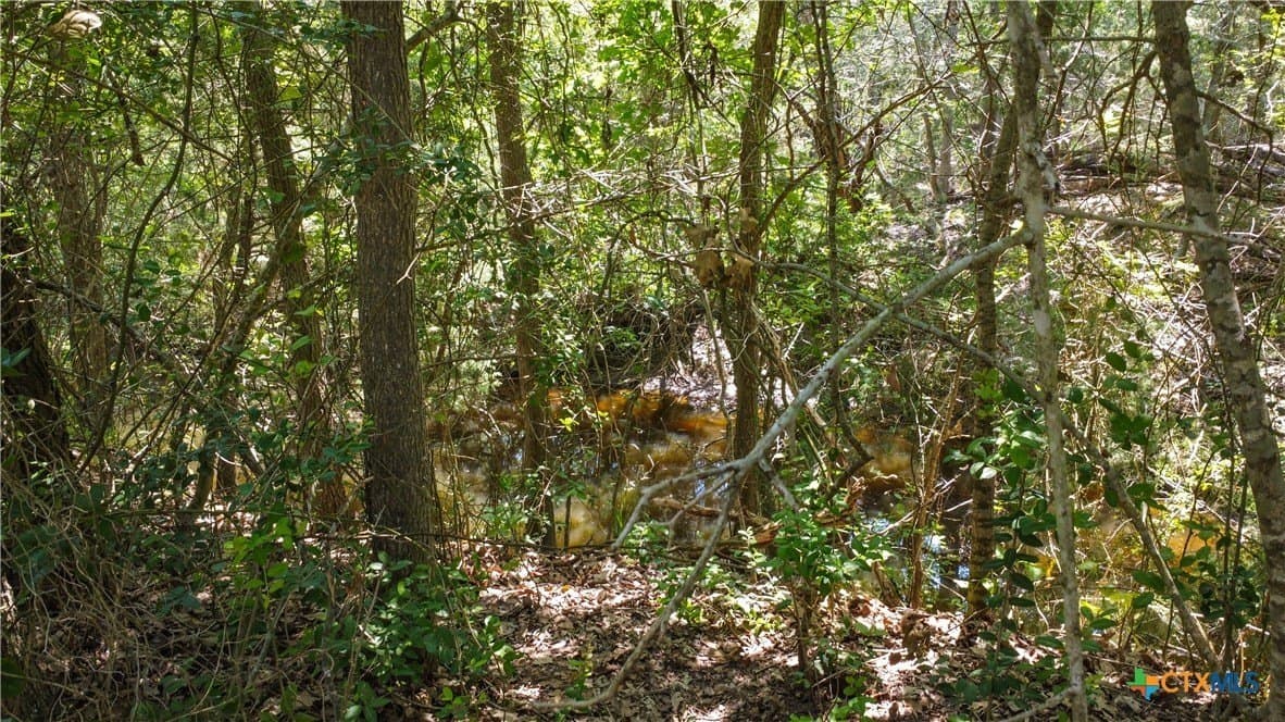 22.31 acres in Caldwell County - photo 25