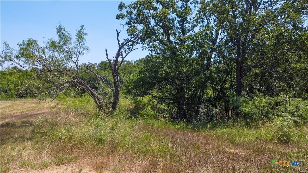 22.31 acres in Caldwell County - photo 33