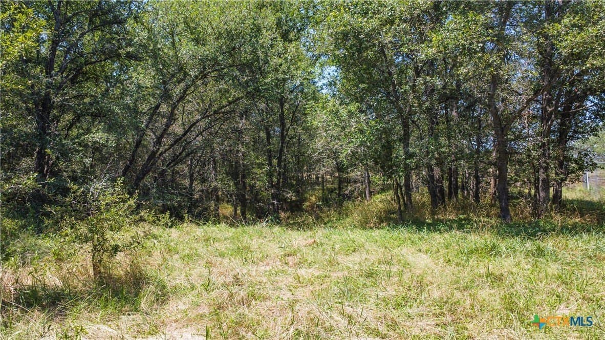 22.31 acres in Caldwell County - photo 28
