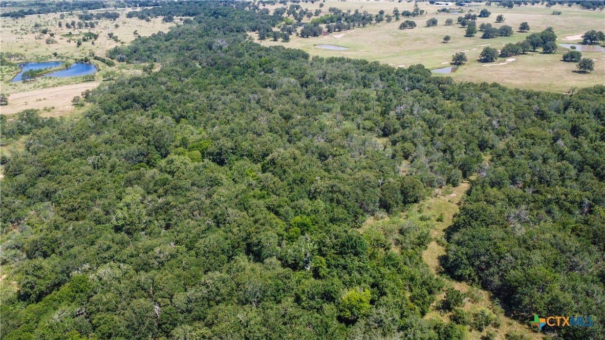 22.31 acres in Caldwell County - photo 10