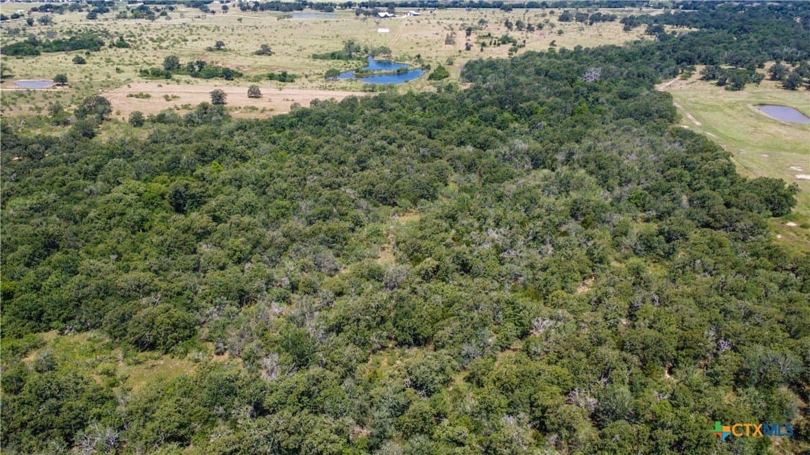 22.31 acres in Caldwell County - photo 9