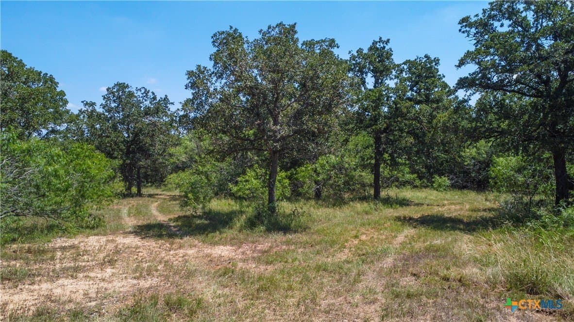 22.31 acres in Caldwell County - photo 14