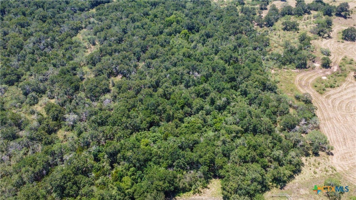 22.31 acres in Caldwell County - photo 41