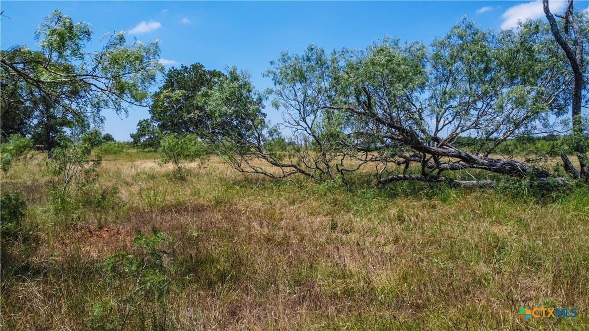 22.31 acres in Caldwell County - photo 31