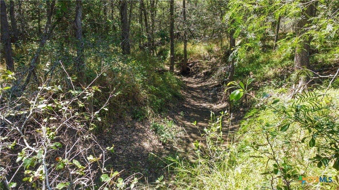 22.31 acres in Caldwell County - photo 20