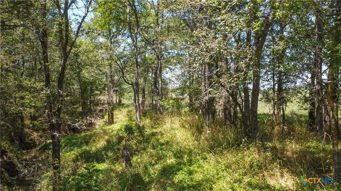 22.31 acres in Caldwell County - photo 29