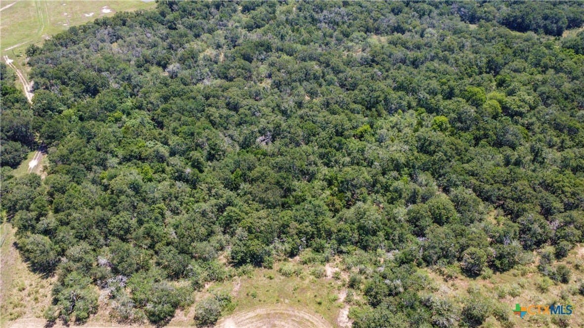 22.31 acres in Caldwell County - photo 37