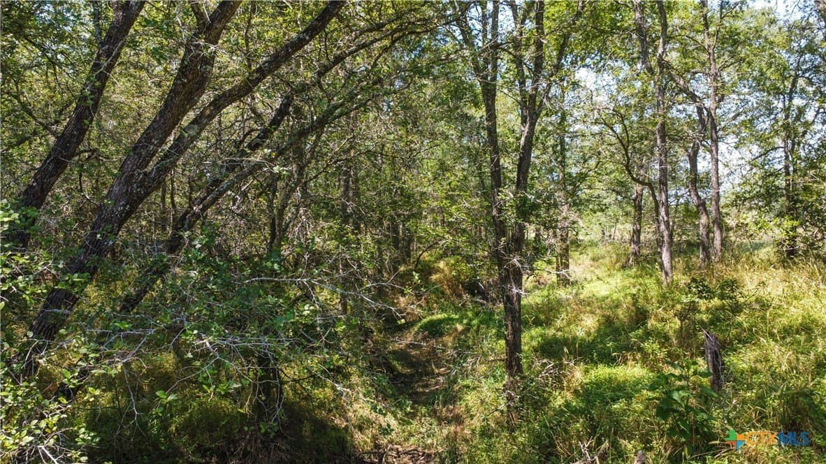 22.31 acres in Caldwell County - photo 21