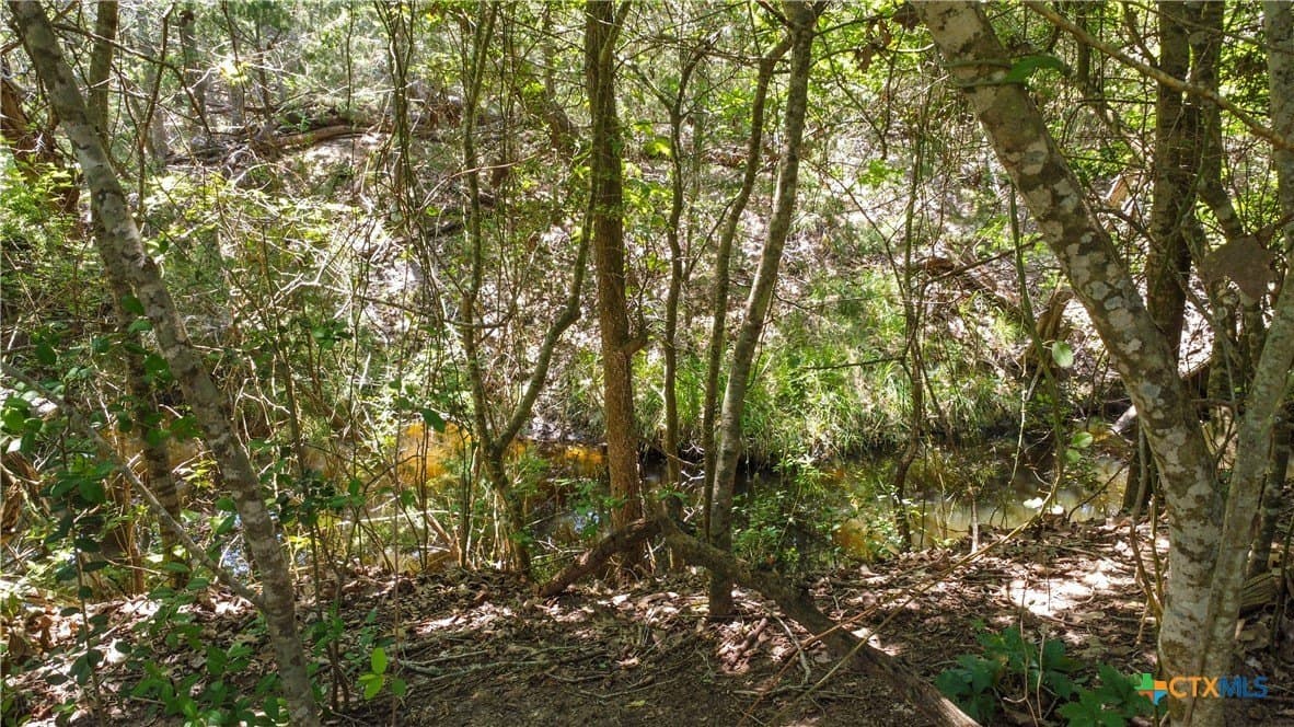 22.31 acres in Caldwell County - photo 24
