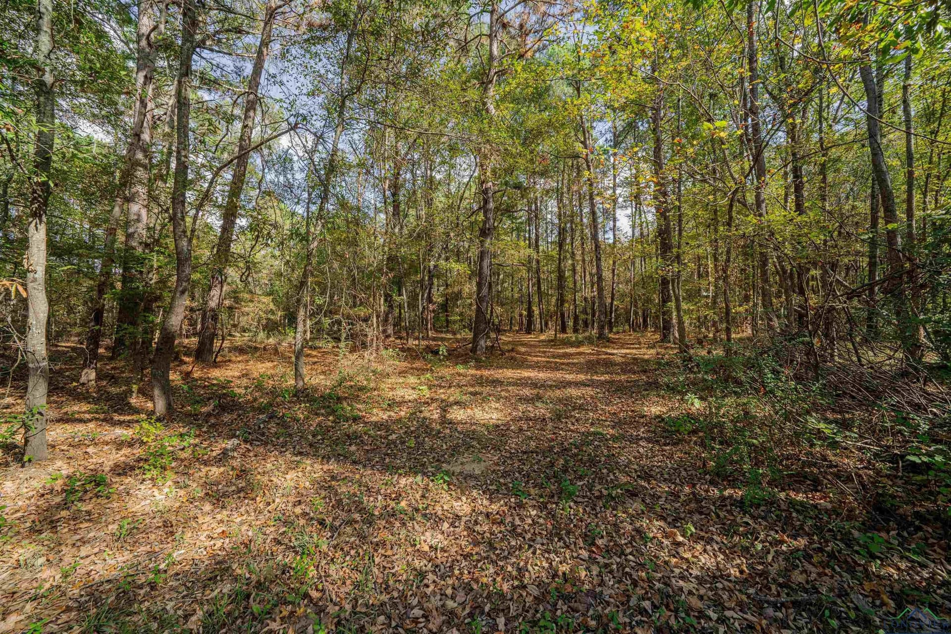 11.83 acres in Rusk County - photo 11