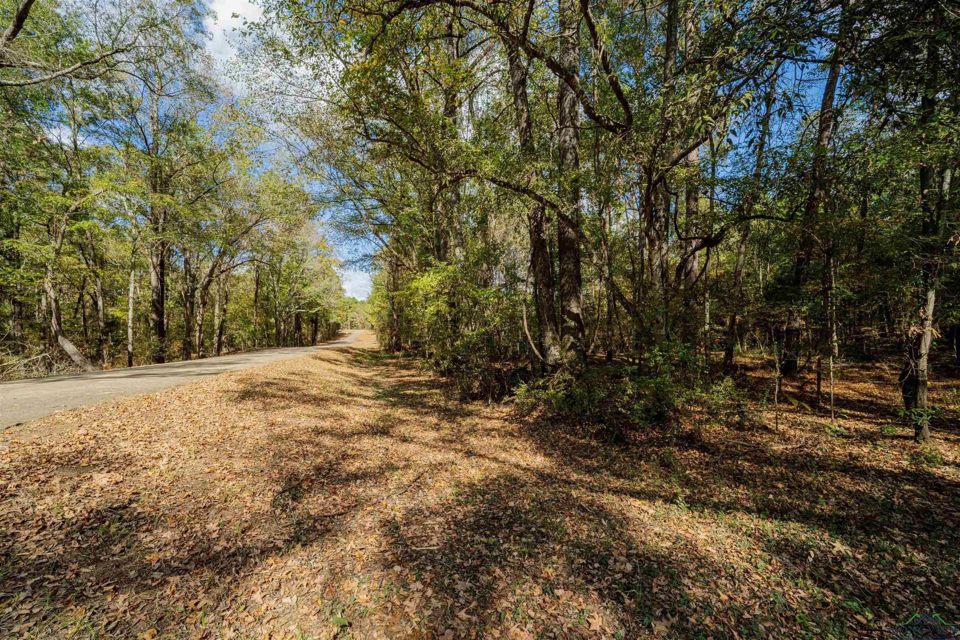 11.83 acres in Rusk County - photo 10