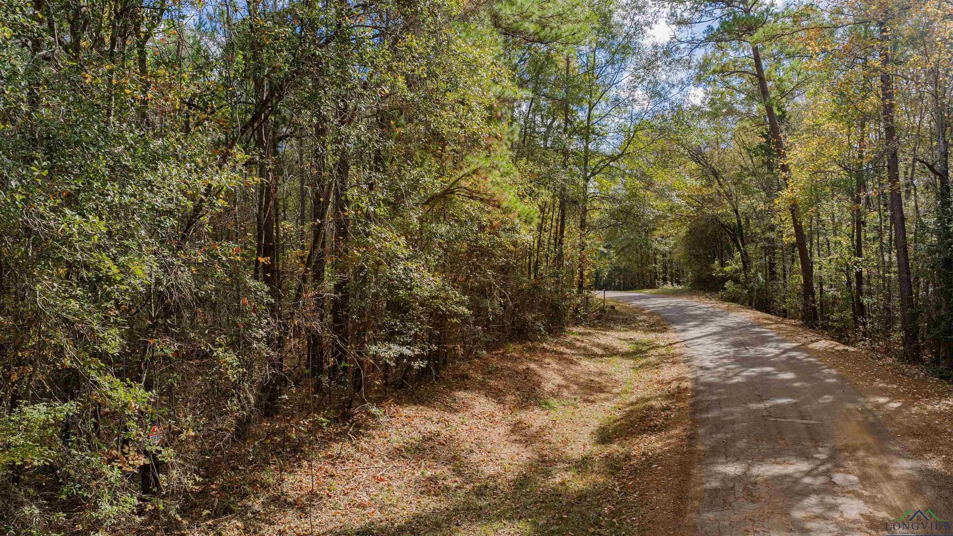 11.83 acres in Rusk County - photo 8