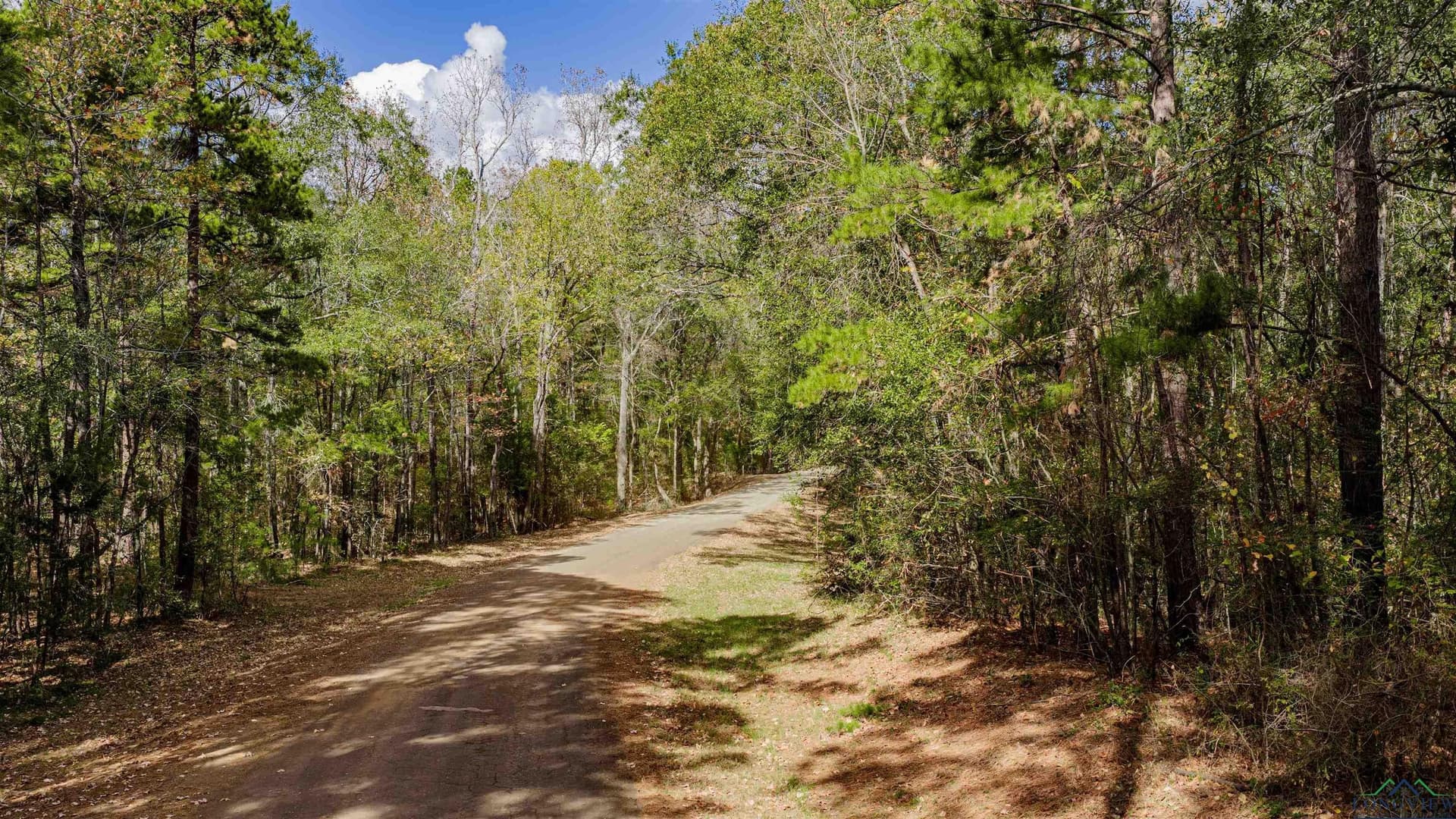 11.83 acres in Rusk County - photo 7