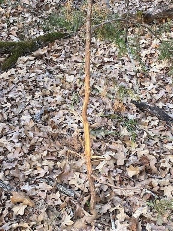 27.43 acres in Henderson County - photo 12