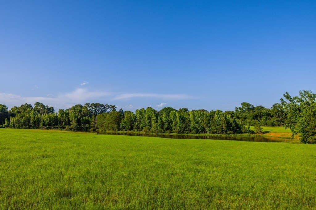 54.89 acres in Anderson County - photo 26
