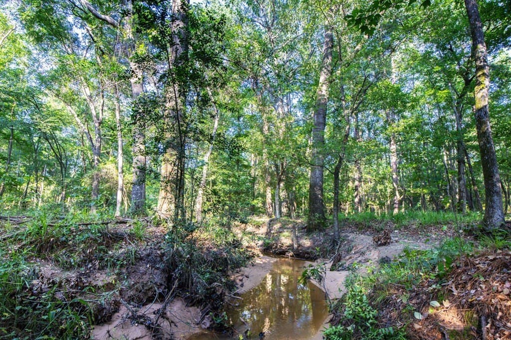 54.89 acres in Anderson County - photo 24