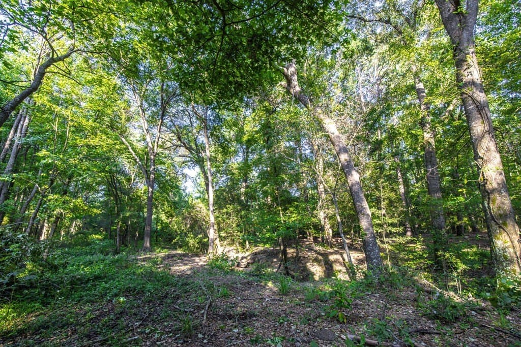 54.89 acres in Anderson County - photo 25