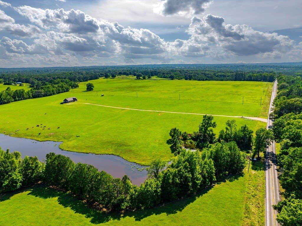 54.89 acres in Anderson County - photo 29