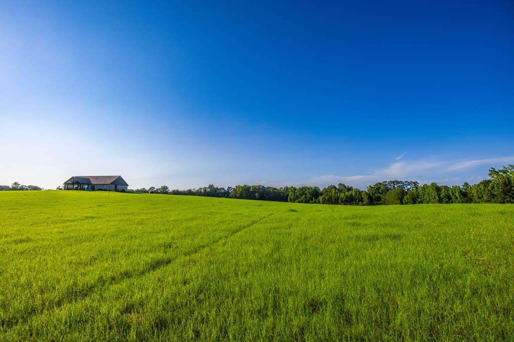 54.89 acres in Anderson County - photo 16