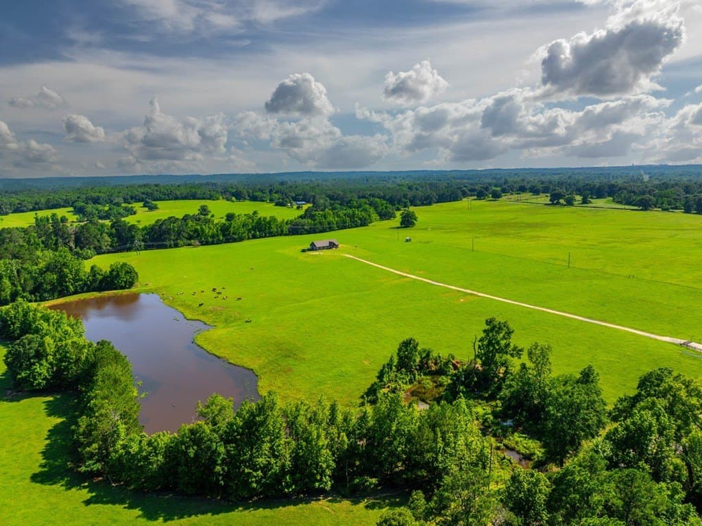 54.89 acres in Anderson County - photo 2
