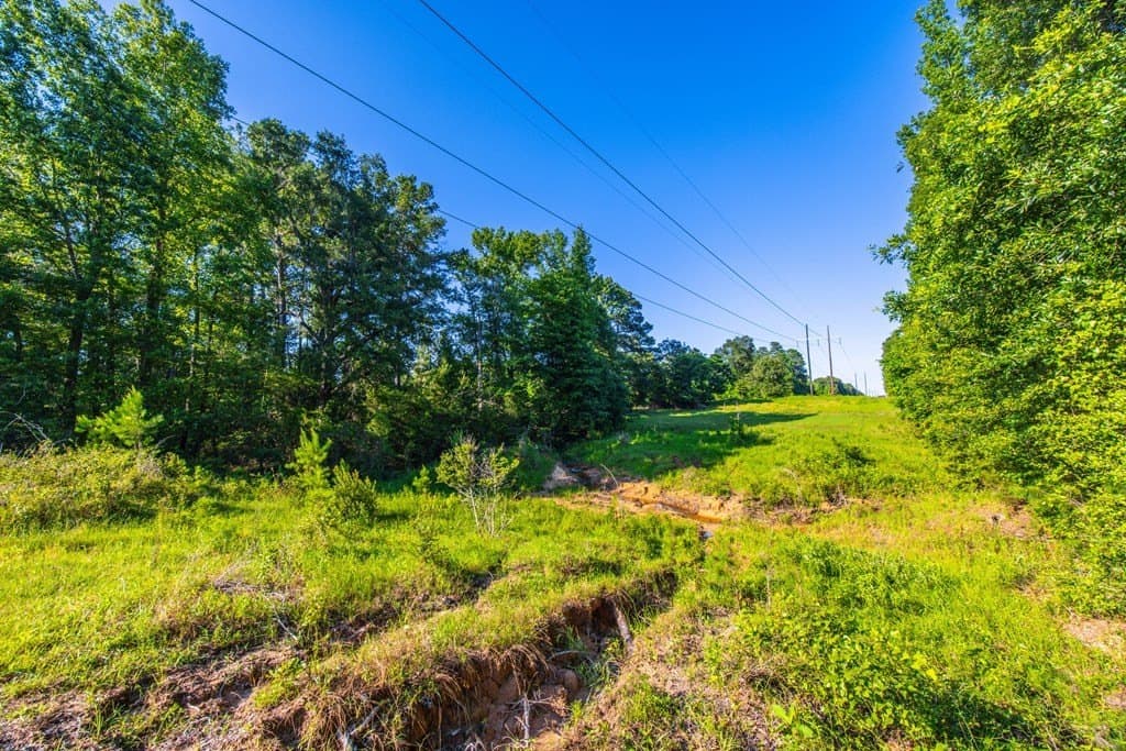 54.89 acres in Anderson County - photo 20