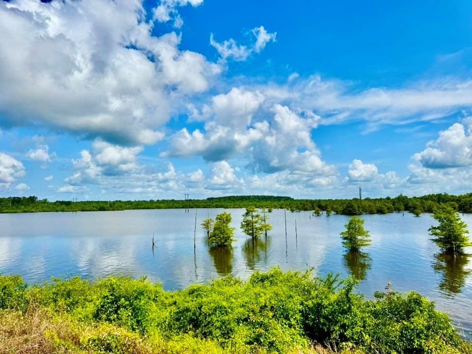 35,200 acres in Texas County - photo 3