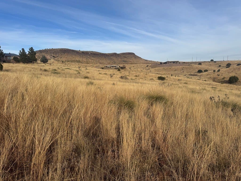 5 acres in Jeff Davis County - photo 2