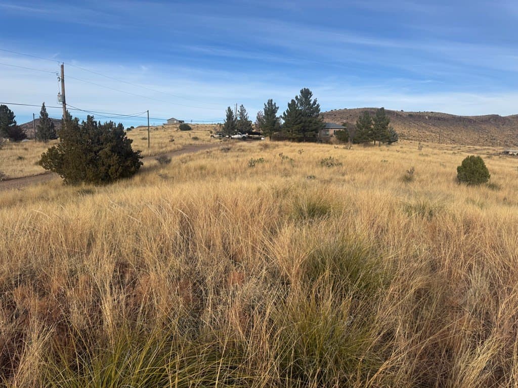 5 acres in Jeff Davis County - photo 7