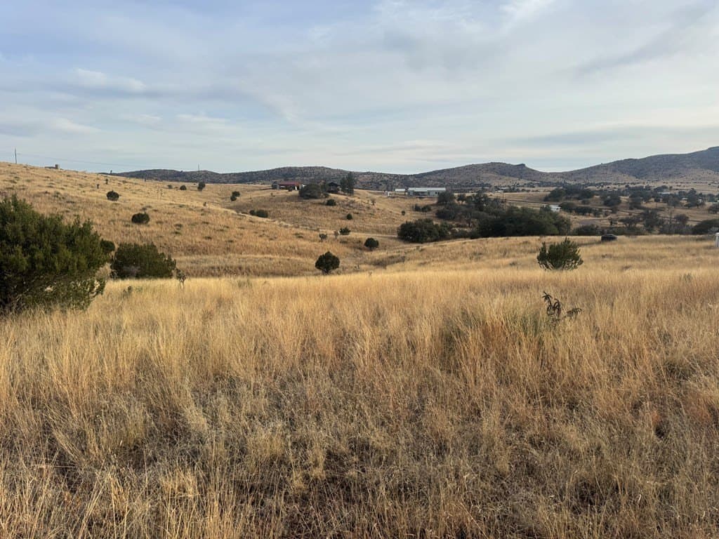 5 acres in Jeff Davis County - photo 4