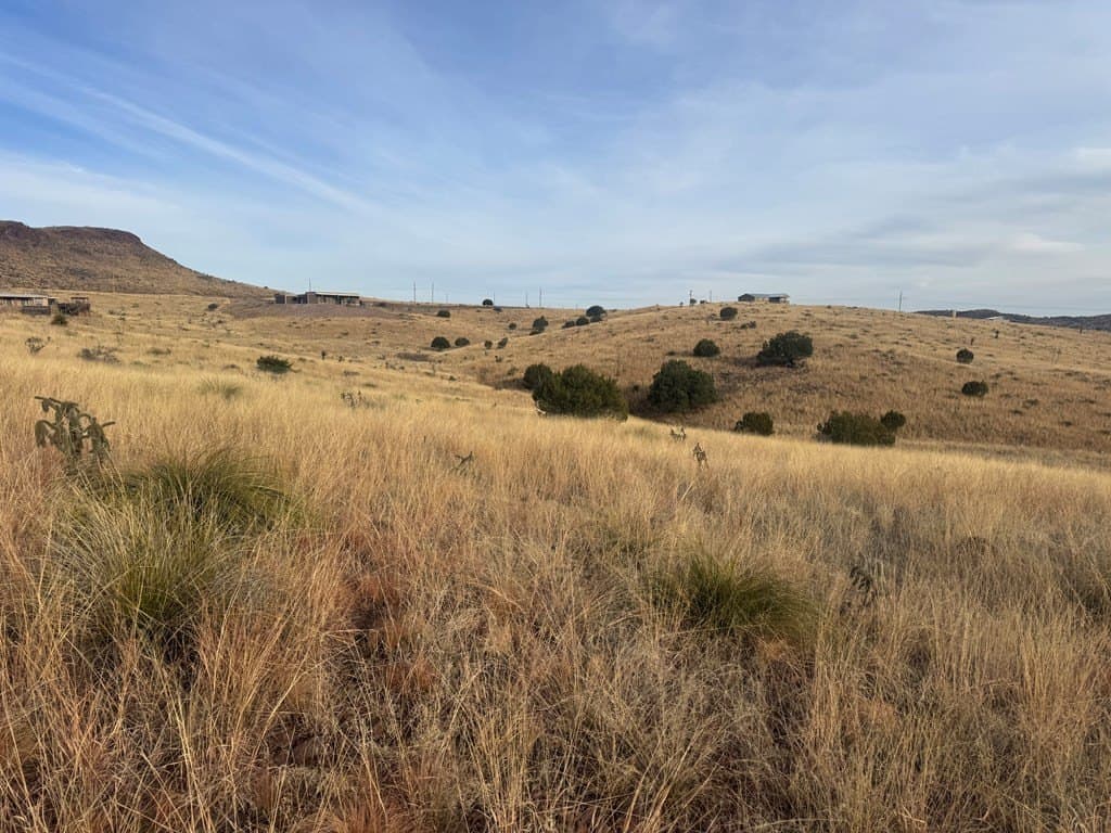 5 acres in Jeff Davis County - photo 3