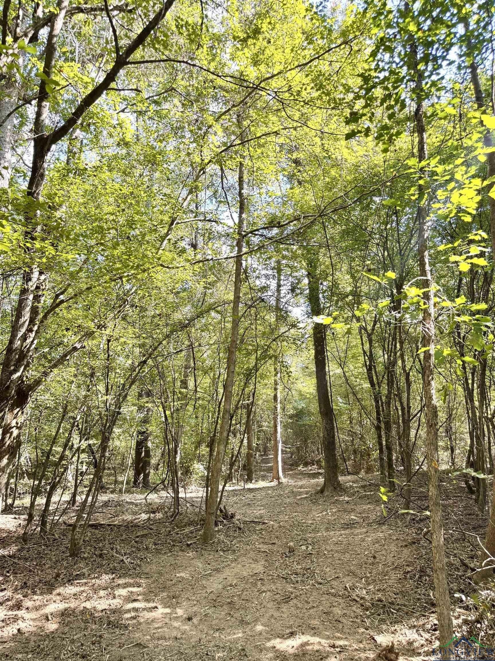 16.7 acres in Cass County - photo 7
