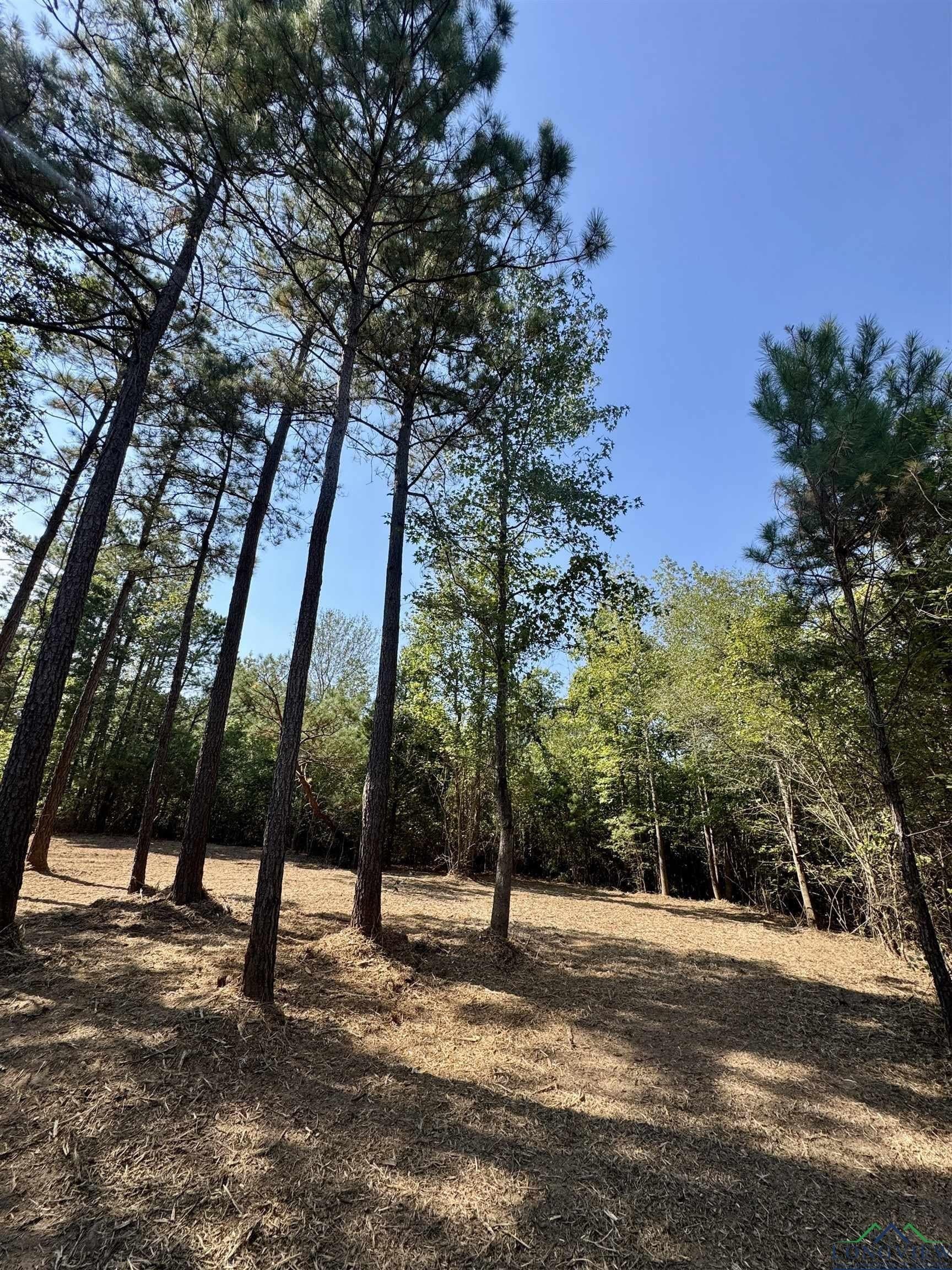 16.7 acres in Cass County - photo 5