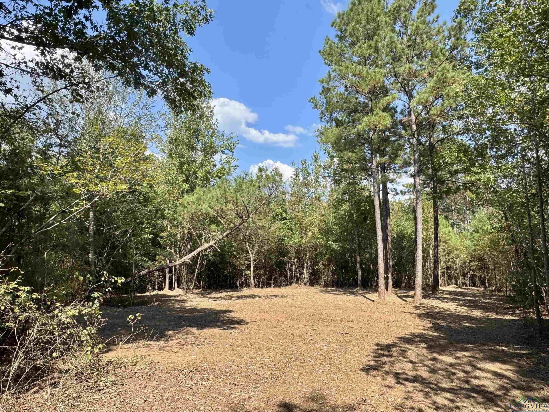 16.7 acres in Cass County - photo 3