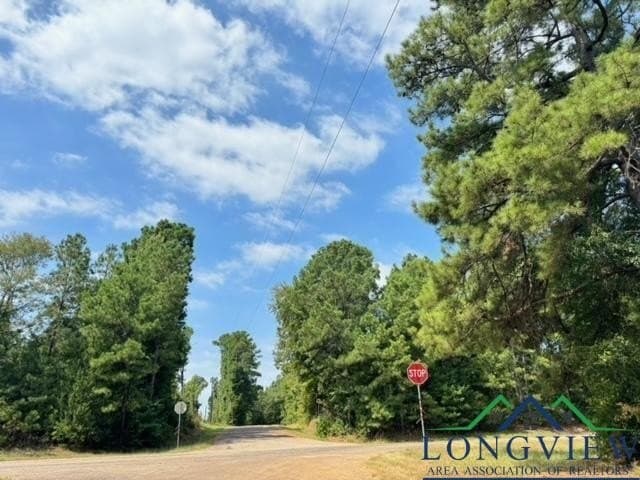 16.7 acres in Cass County - photo 12