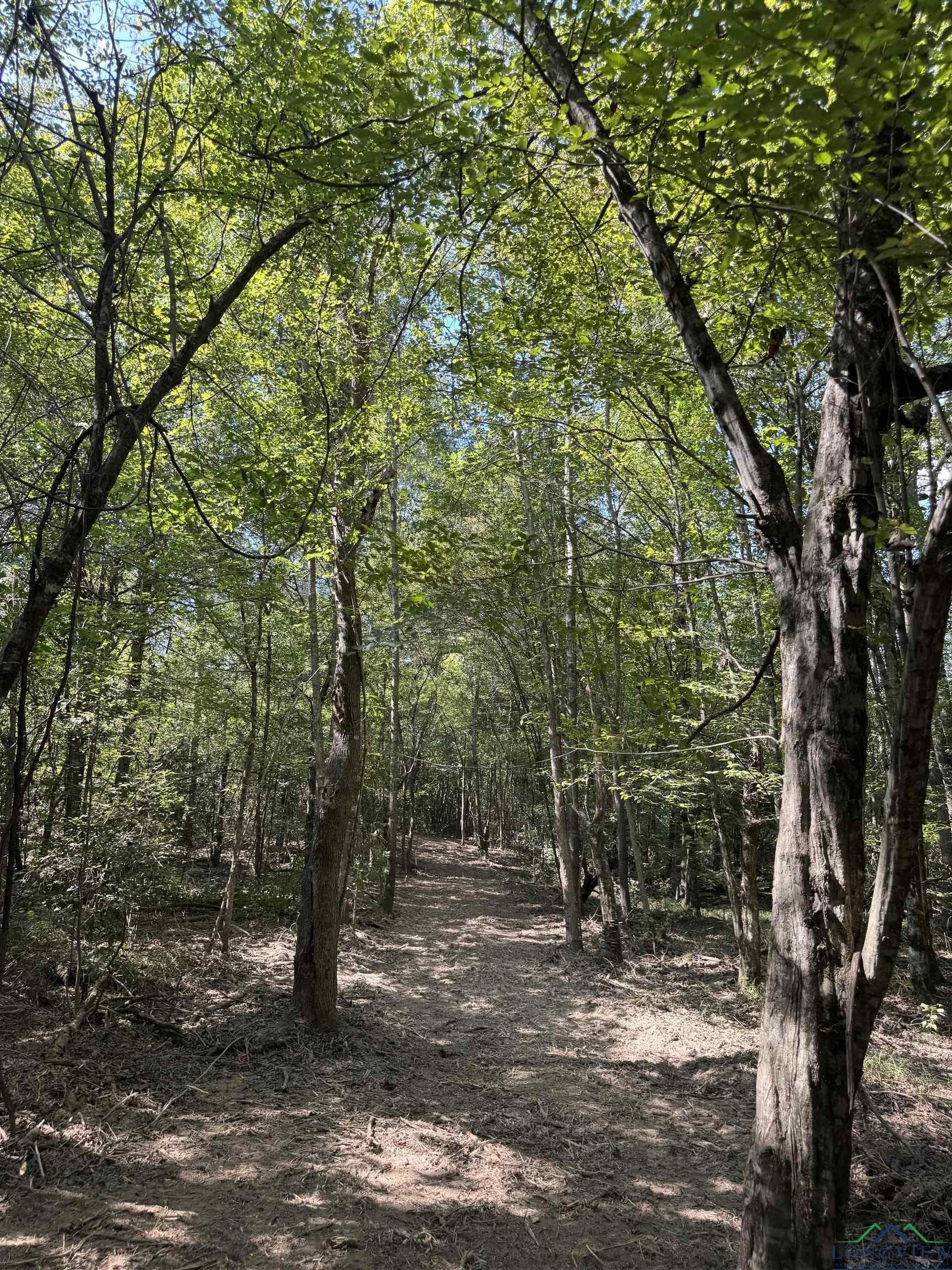 16.7 acres in Cass County - photo 9