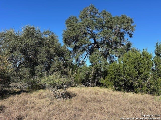 1.01 acres in Comal County - photo 7