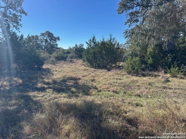 1.01 acres in Comal County - photo 2