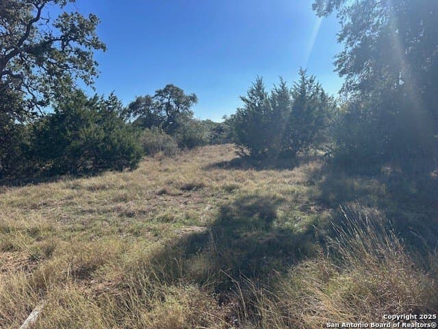 1.01 acres in Comal County - photo 5