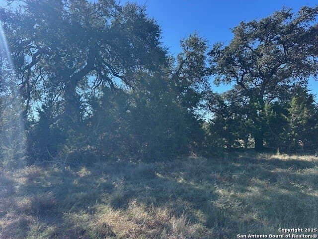 1.01 acres in Comal County - photo 9