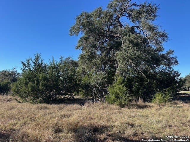 1.01 acres in Comal County - photo 6