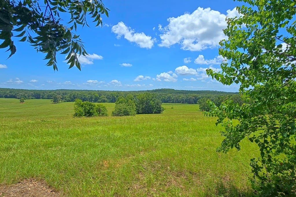 88.75 acres in Texas County - photo 26