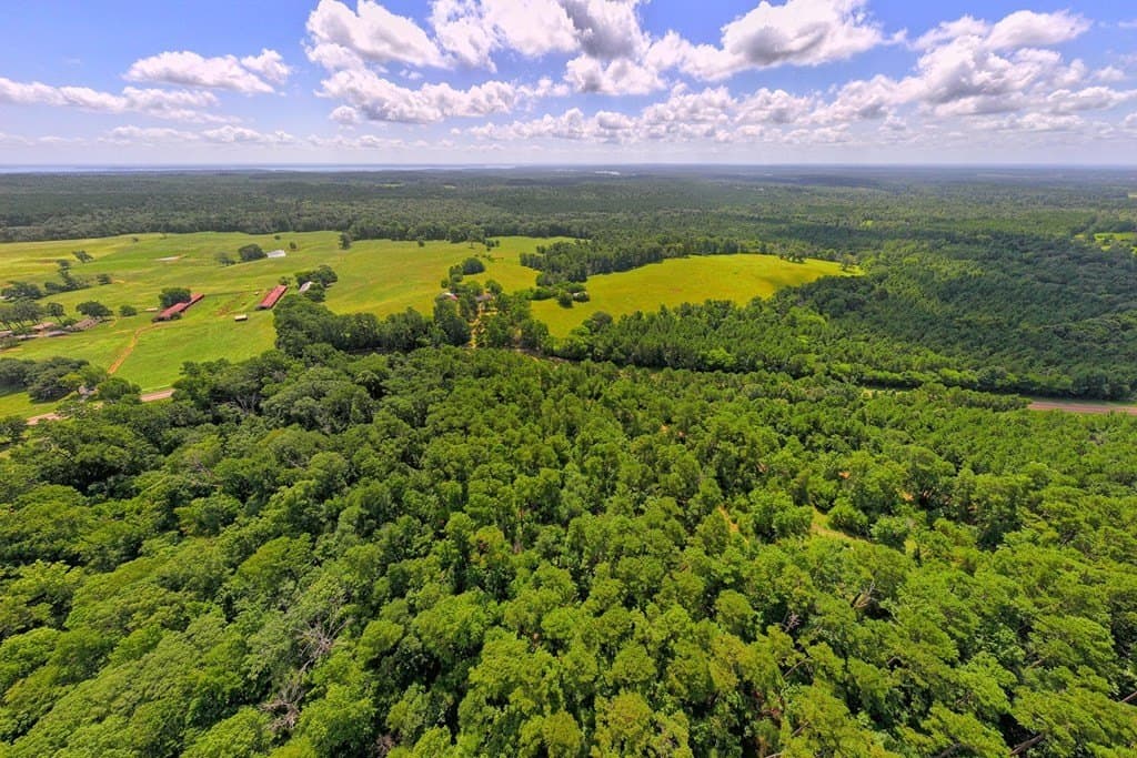 88.75 acres in Texas County - photo 18