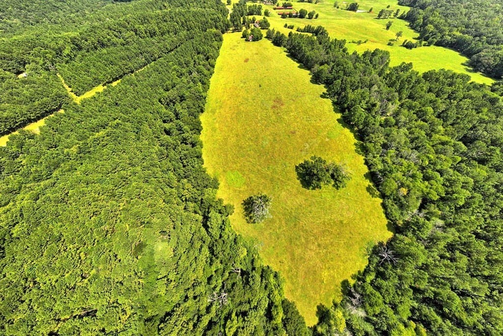 88.75 acres in Texas County - photo 16