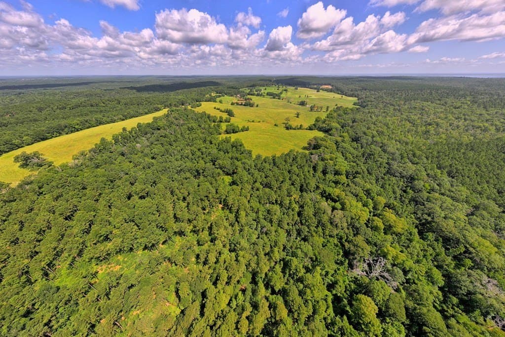 88.75 acres in Texas County - photo 15