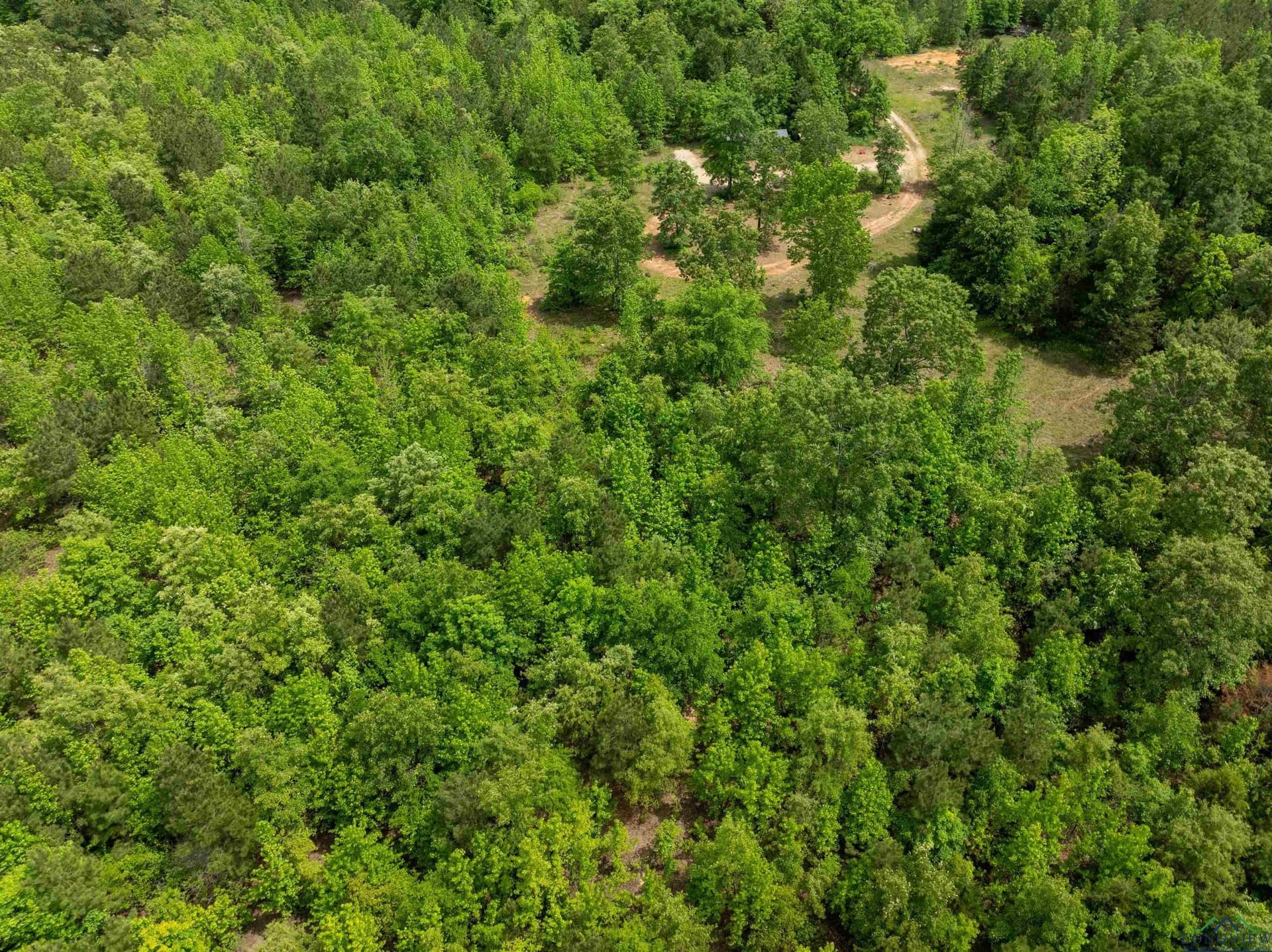 16.71 acres in Cass County - photo 11
