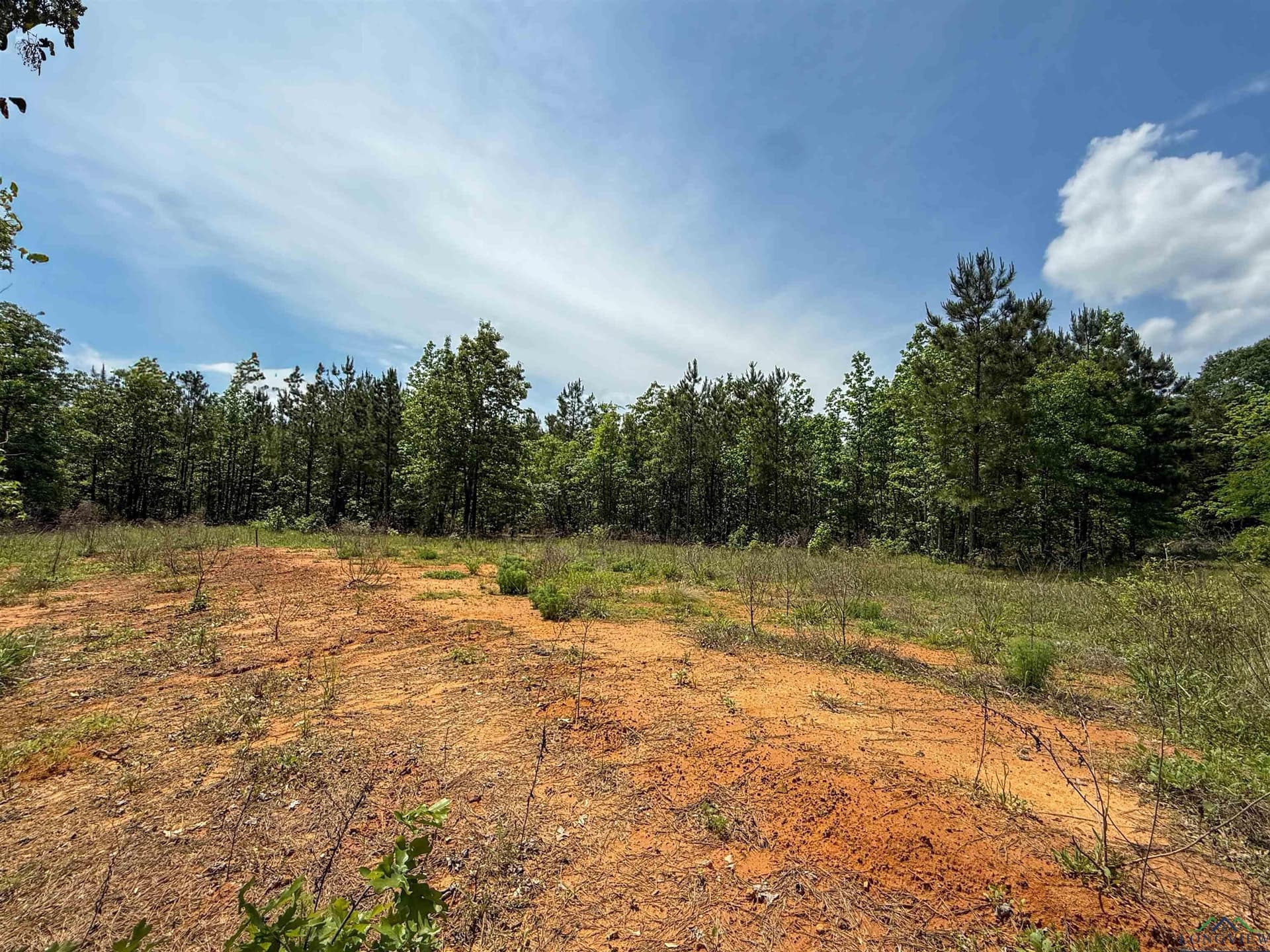 16.71 acres in Cass County - photo 31