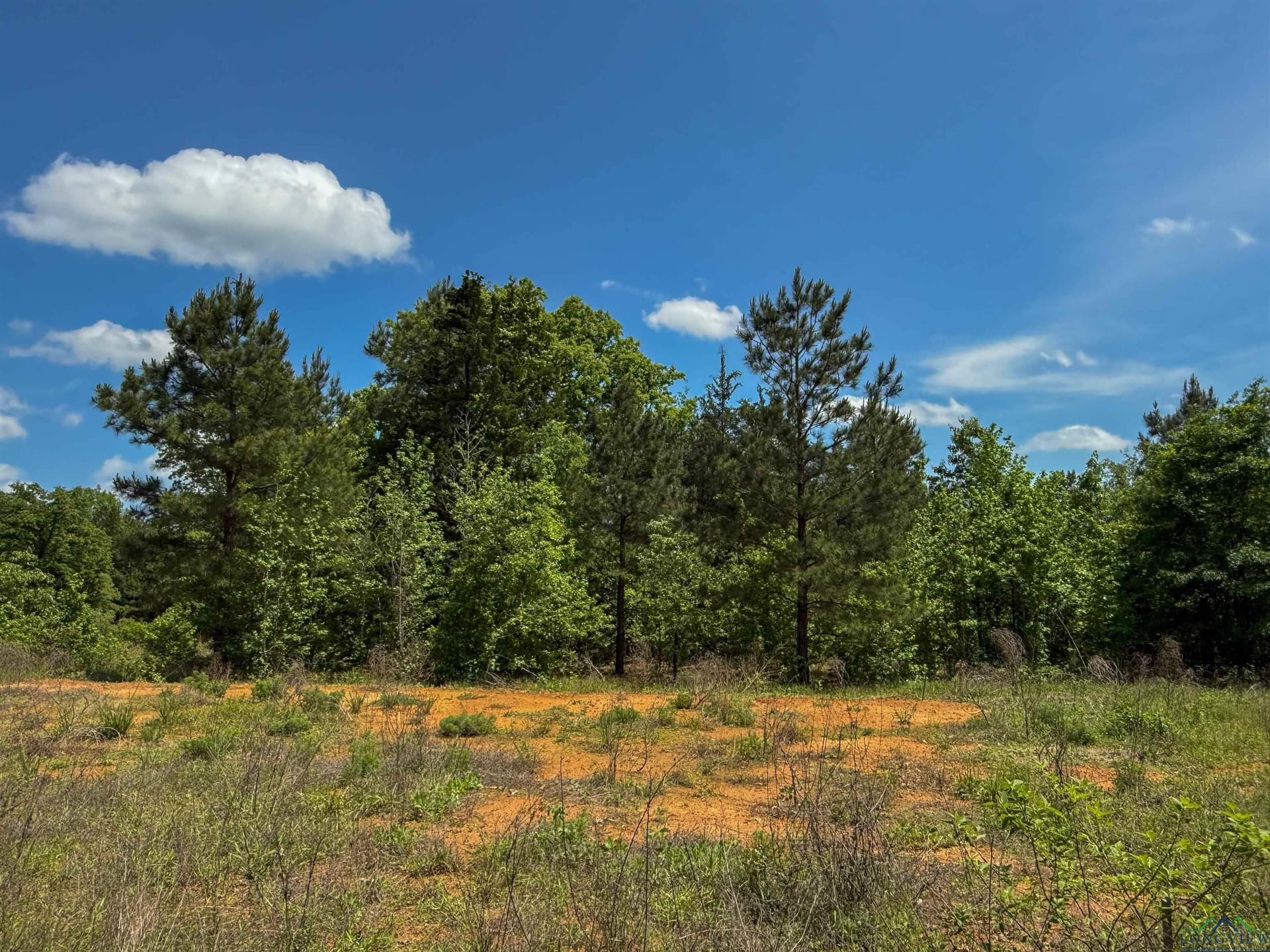 16.71 acres in Cass County - photo 33