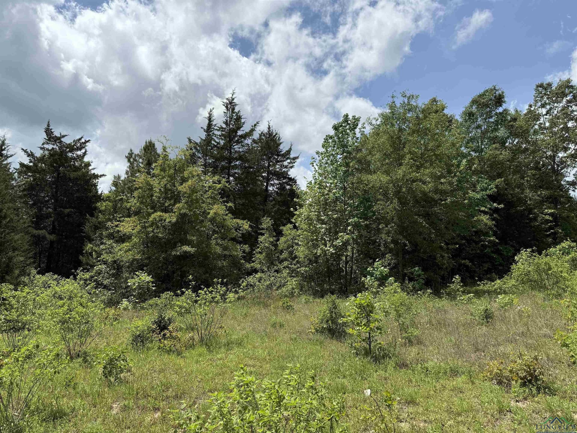 16.71 acres in Cass County - photo 44