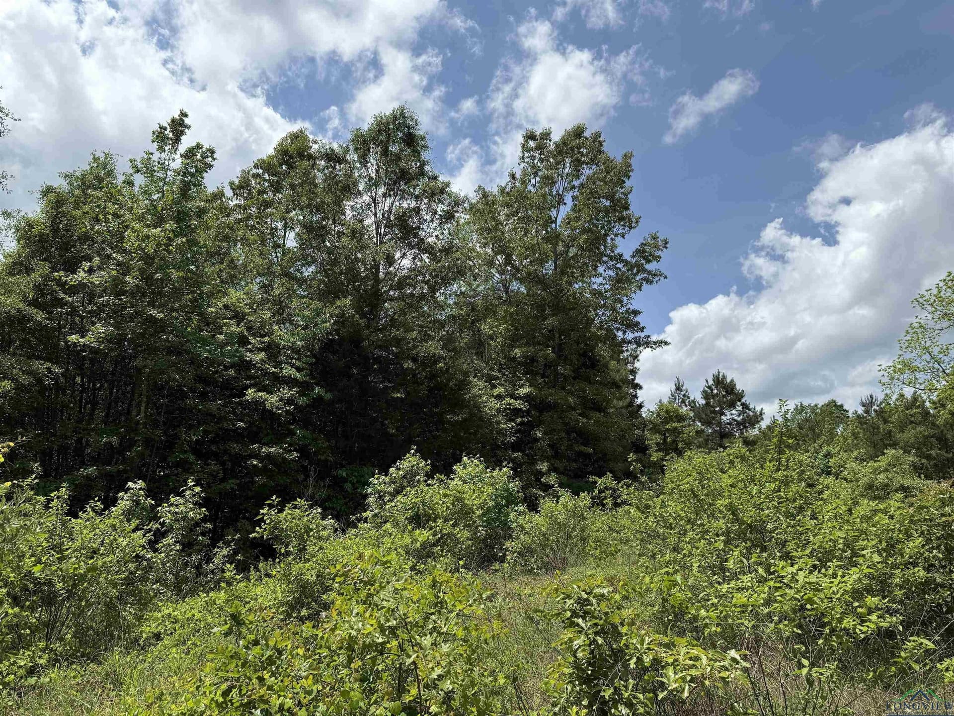 16.71 acres in Cass County - photo 45
