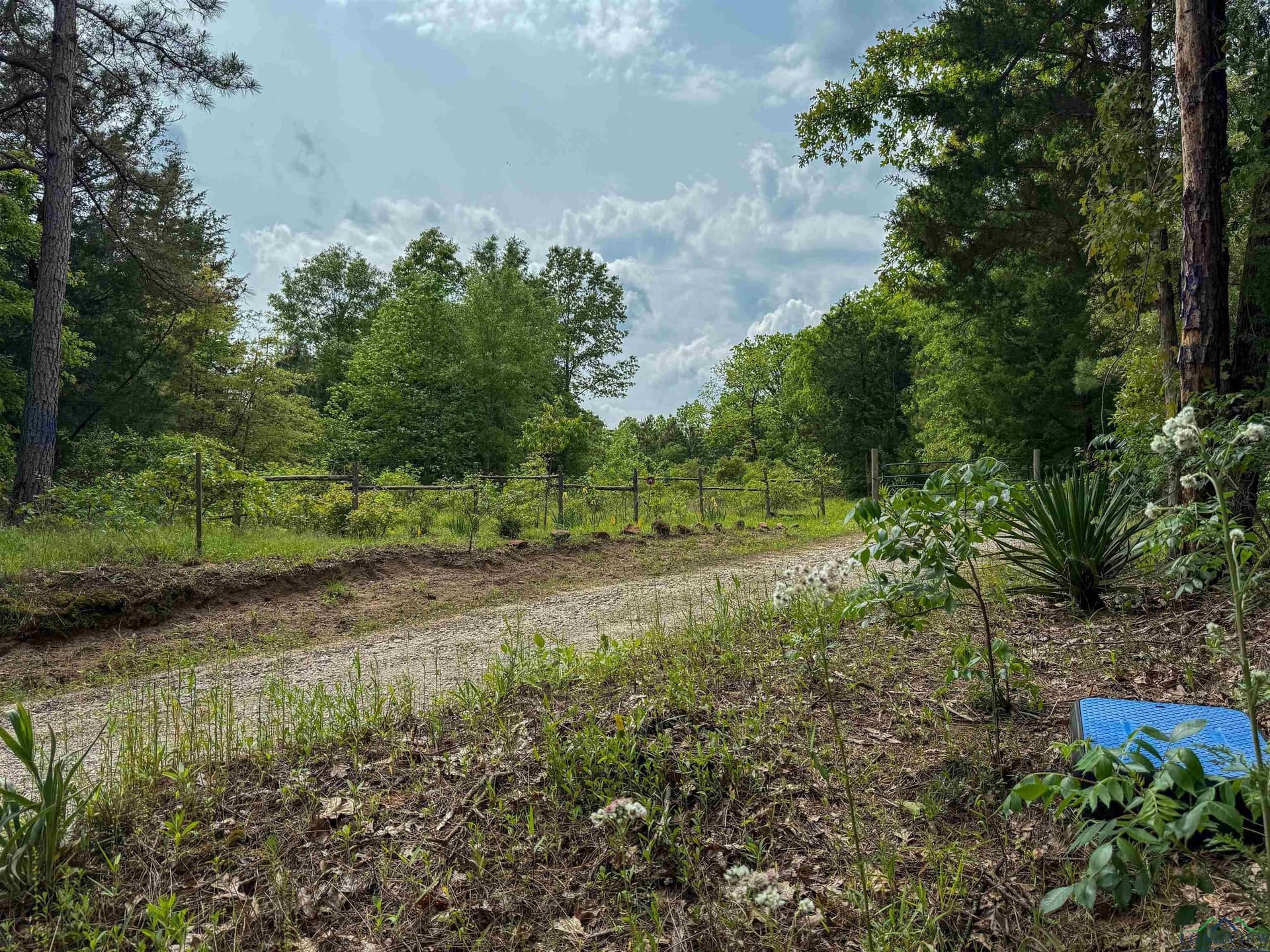 16.71 acres in Cass County - photo 49